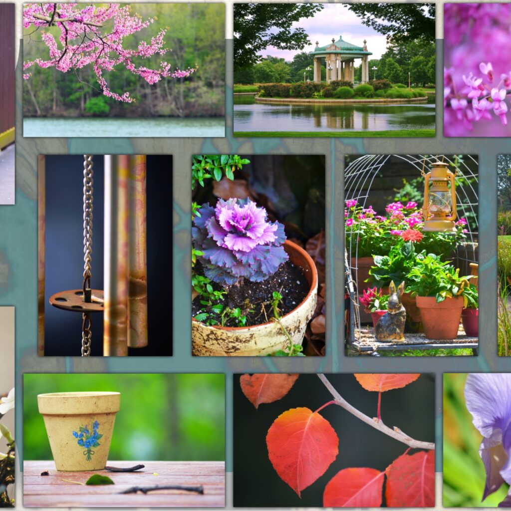 garden photography collage
