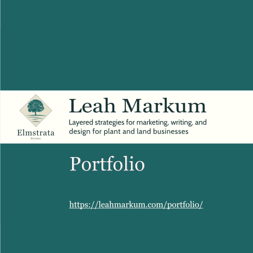 square portfolio cover